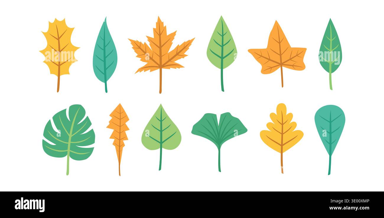 Collezione vettoriale colorata di diverse forme di foglie dal design piatto, con icone verdi e autunnali perfette per la natura, la botanica e la stagione Illustrazione Vettoriale