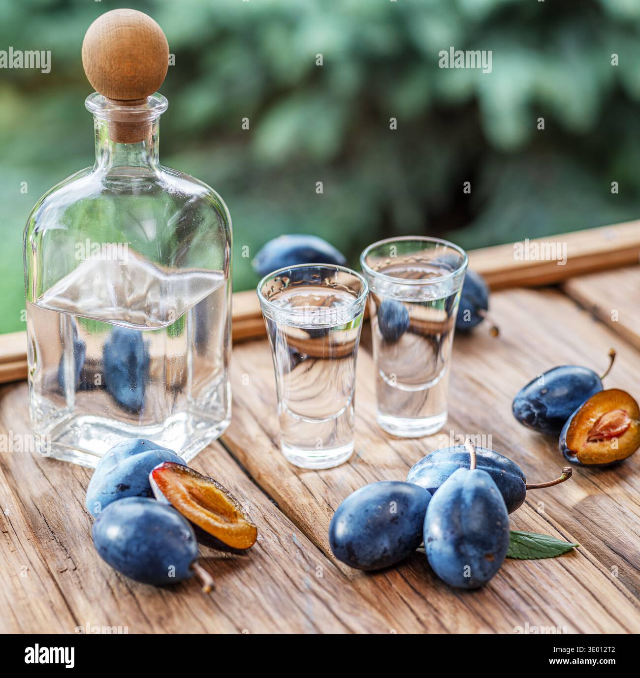 Slivovice, tradizionale brandy balcanico di prugne e bevanda nazionale della Serbia e di diversi paesi dell'Europa orientale, natura morta con prugne fresche. Autentico Foto Stock