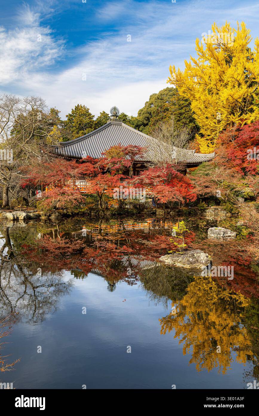 Alberi del tempio Daigo ji che si riflettono nello stagno Foto Stock