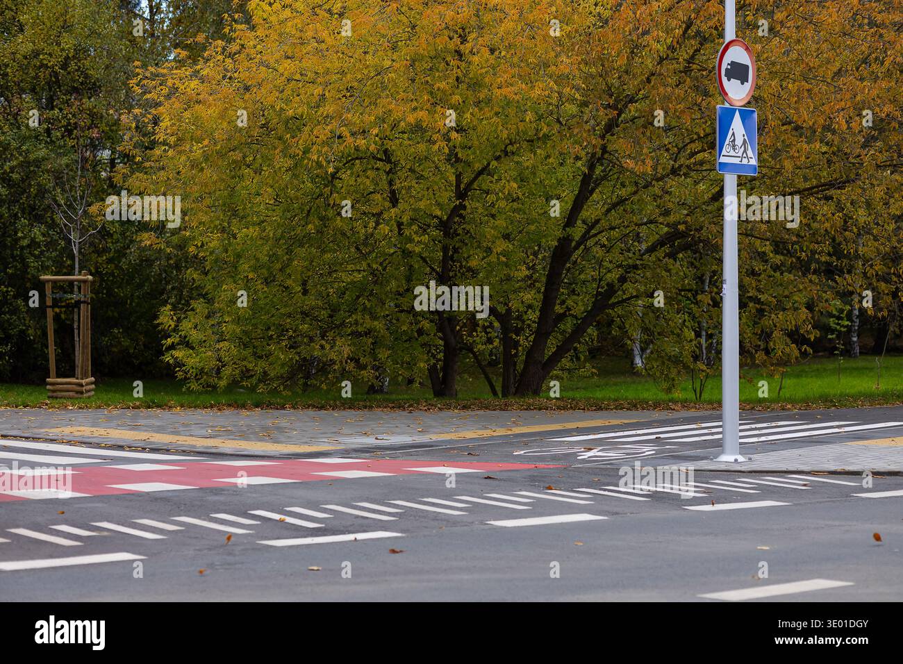Integrazione delle piste ciclabili nel quartiere residenziale con segnaletica rossa di attraversamento e segnaletica stradale. Pianificazione urbana moderna per spostamenti sicuri Foto Stock