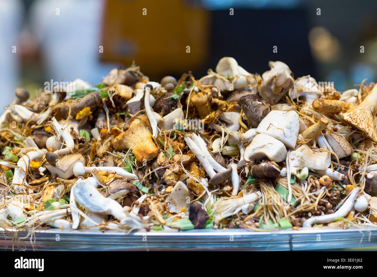 Spagna, Barcellona, una selezione di funghi selvatici al mercato la Boqueria. Foto Stock