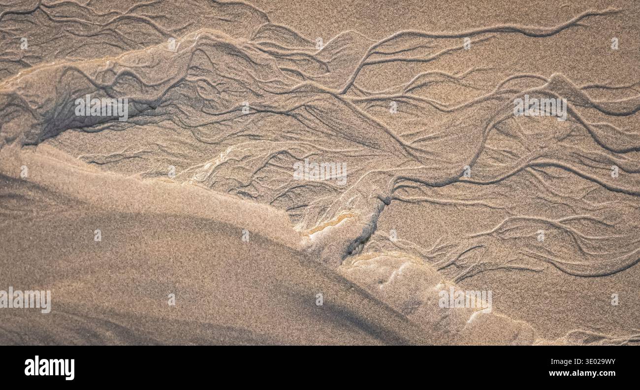 Schema della linea di sabbia della spiaggia, vista dall'alto. Dune di sabbia scolpite in acqua texture nel deserto. Rami di alberi astratti modello naturale. Ondulazione naturale e gradi Foto Stock