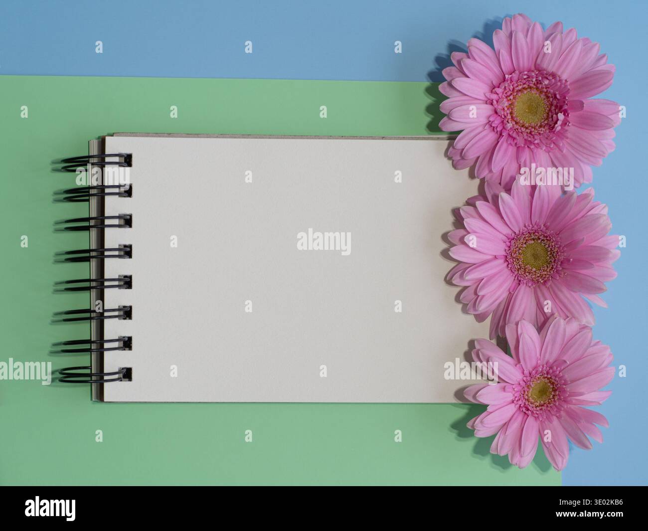 Quaderno vuoto con fiori di gerbera rosa su sfondo pastello con spazio per copie Foto Stock