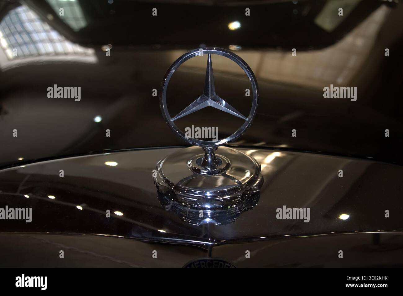 Primo piano artistico dell'iconica calotta a tre punte Mercedes-Benz su un'auto d'epoca di lusso al Museo dell'automobile di Belgrado. Foto Stock