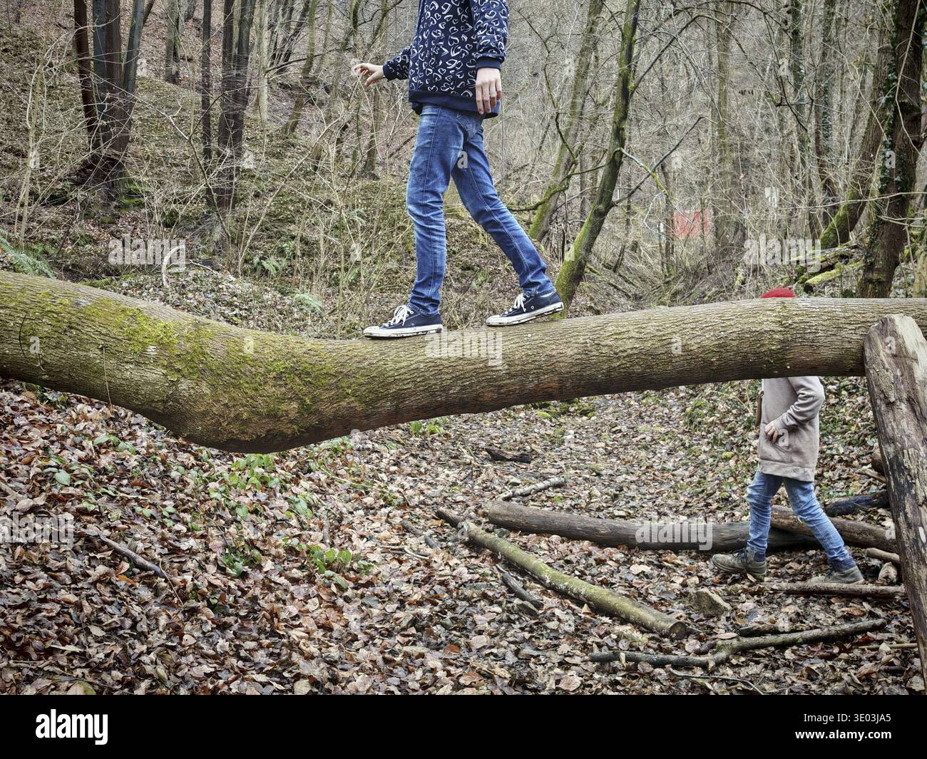 Mantenere l'equilibrio tra la psiche umana e le emozioni Foto Stock