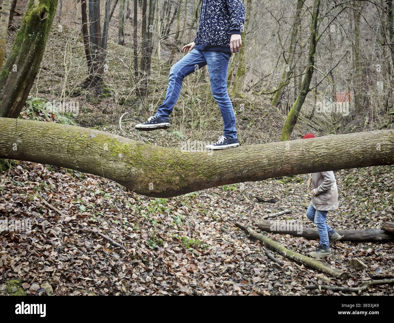 Mantenere l'equilibrio tra la psiche umana e le emozioni Foto Stock