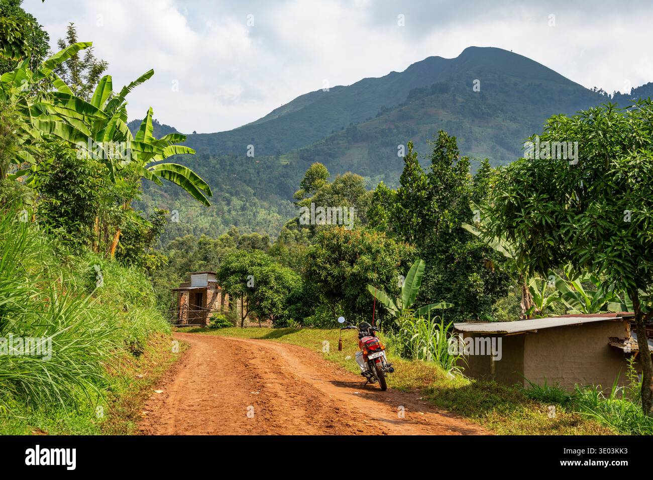 Strada e collina vicino a Bududa, monte Elgon nell'Uganda orientale. Un'area soggetta a frane indotte dal clima. Foto Stock