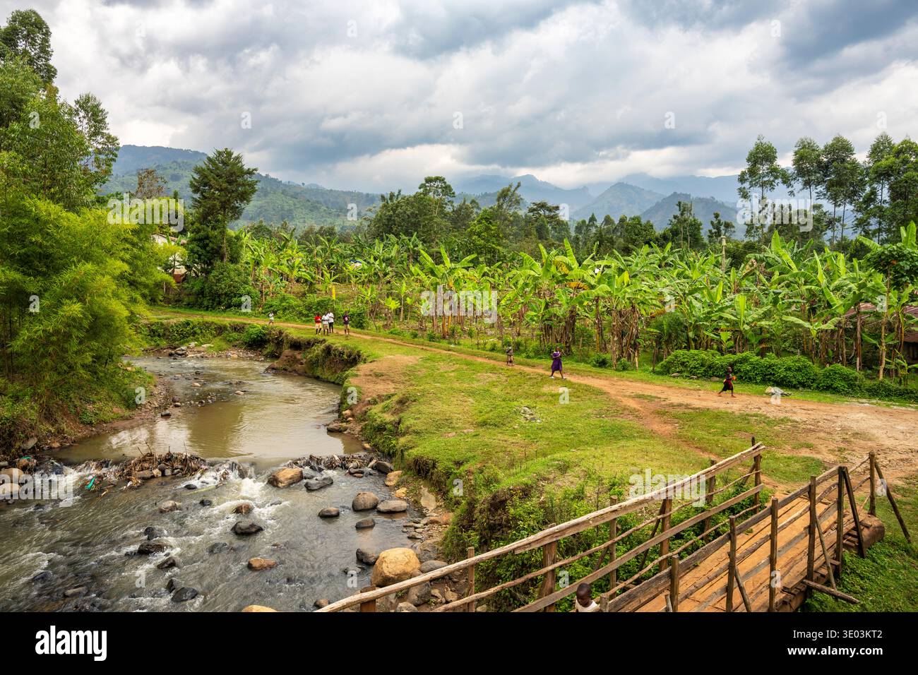 Fiume Manafura vicino a Bulucheke, sulle pendici del monte Elgon, Uganda orientale. Foto Stock