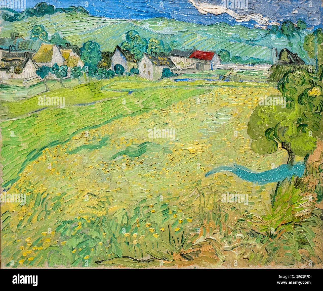 Vincent Van Gogh b 1853 - d 1890. Les vessenots ad Auvers, 1890. Olio su tela, Foto Stock