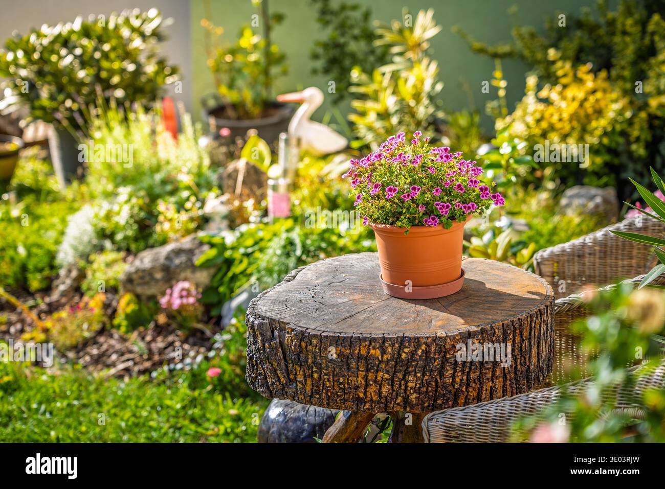 Bellissimo piccolo patio con tavolo in legno e vaso di fiori Foto Stock