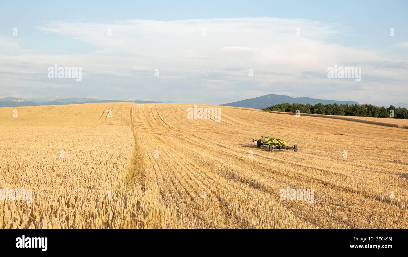 Un vasto campo di grano dorato sotto un cielo azzurro si estende all'orizzonte, interrotto da macchinari agricoli. Alberi lussureggianti e montagne lontane aggiungono profondità Foto Stock