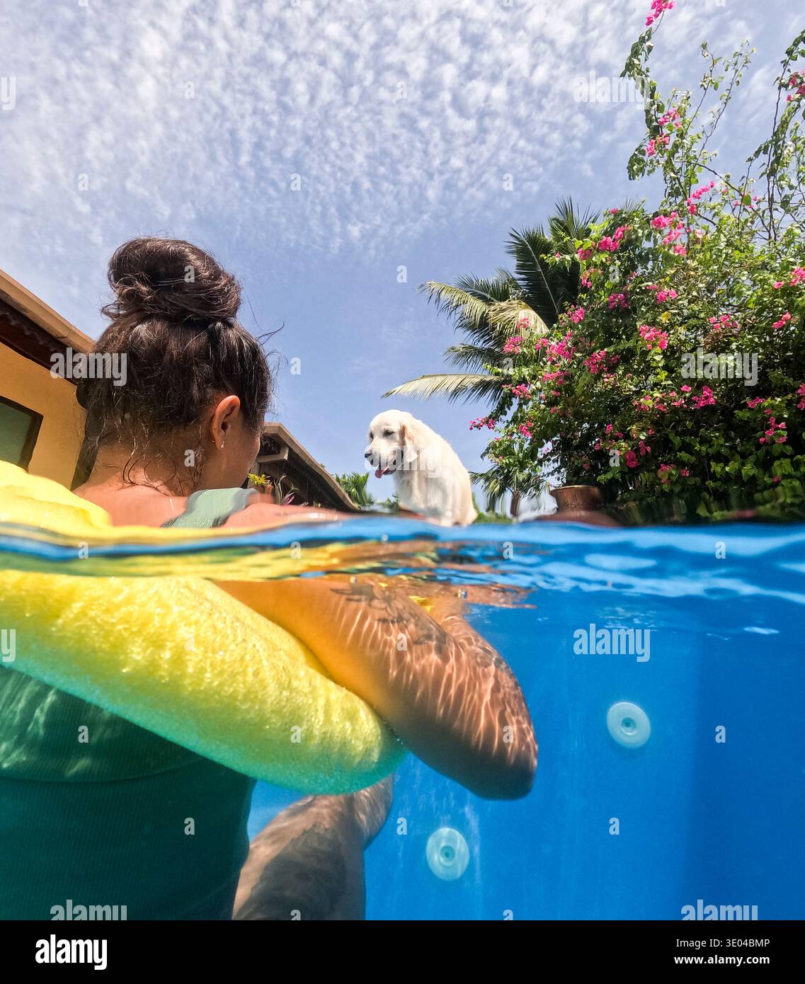 Donna che si gode una nuotata in piscina, appoggiata su un tagliatello giallo, mentre un cane bianco osserva dalla piscina. Circondato da vegetazione lussureggiante e colori Foto Stock