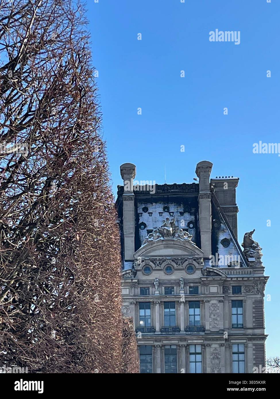 Il Pavillon de Flore a Parigi, Francia, parte del Palazzo del Louvre Foto Stock