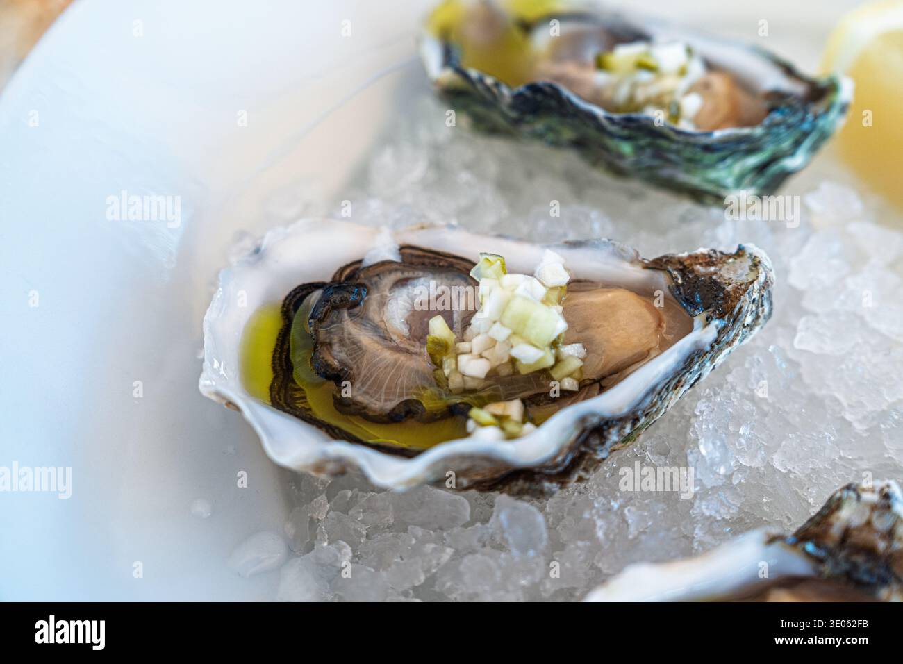 Ostriche fresche sul ghiaccio Una delizia culinaria con limone, pronte a gustarla. Specialità di pesce gourmet Foto Stock