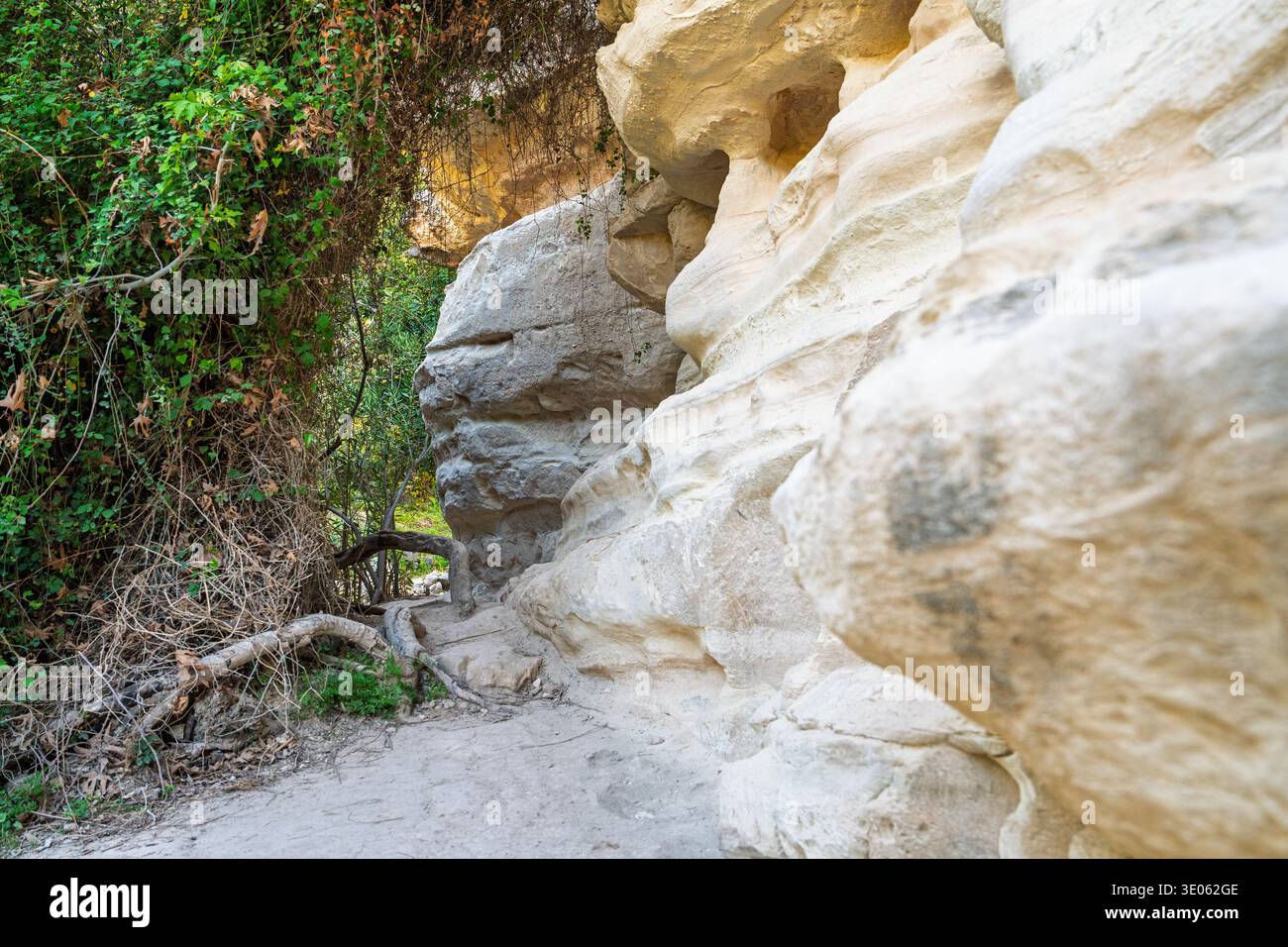 Magnifiche formazioni rocciose a Cipro Rugged Beauty of the Coastal Landscape, area di Paphos, Cipro. Foto Stock
