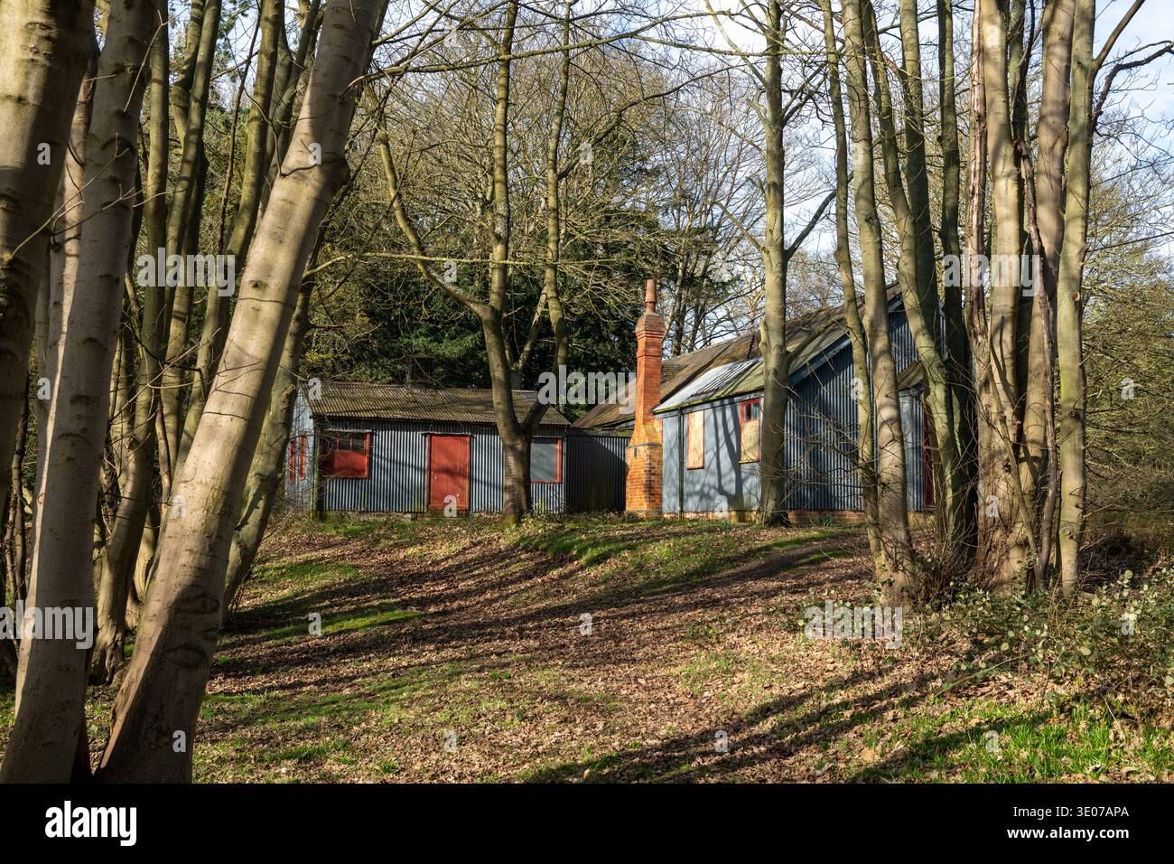 Old Village Hall a Hardwick Village, Clumber Park, Nottinghamshire, Inghilterra, storico edificio in ferro ondulato con camino in mattoni in un ambiente boschivo Foto Stock