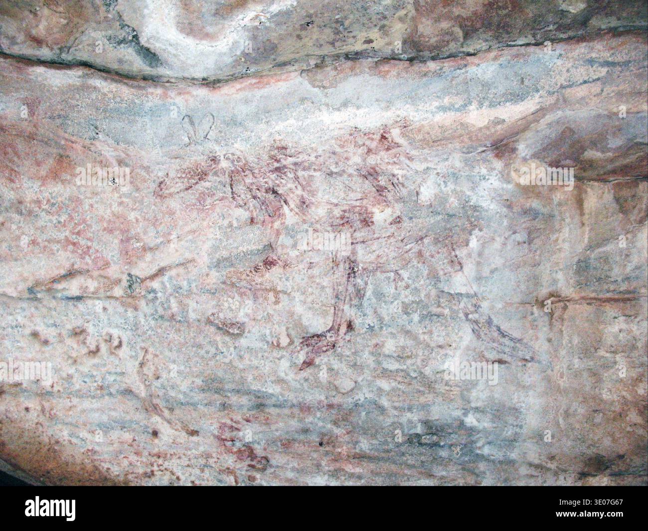 Un'antica caverna raffigura un canguro rosso-viola sbiadito, probabilmente una creazione artistica rupestre aborigena di molti secoli fa. Questa potente opera d'arte, che mostra un grande marsupiale su una superficie rocciosa a chiocciola, serve come testimonianza della prima espressione artistica umana e delle tradizioni culturali. Foto Stock