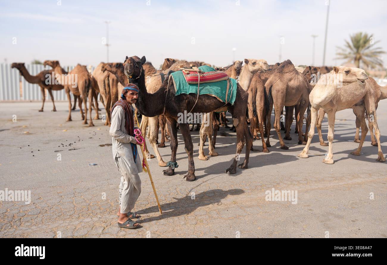 Al grande mercato dei cammelli di Buraida / Buraydah, Arabia Saudita Foto Stock