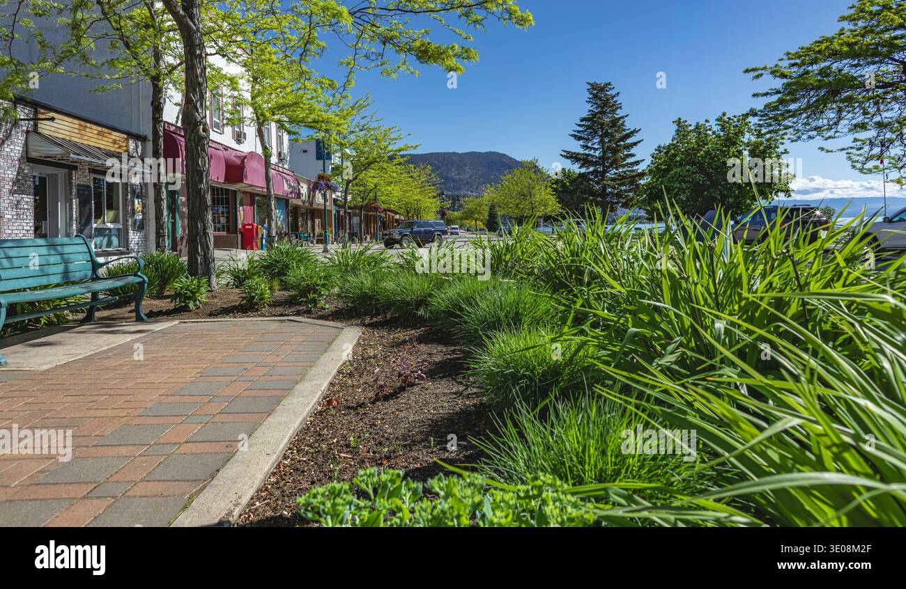 Erba decorativa e passerella nel Green Urban Park con panca in estate vicino all'area residenziale. Parco verde pubblico vicino al lago Okanagan. Foto Stock