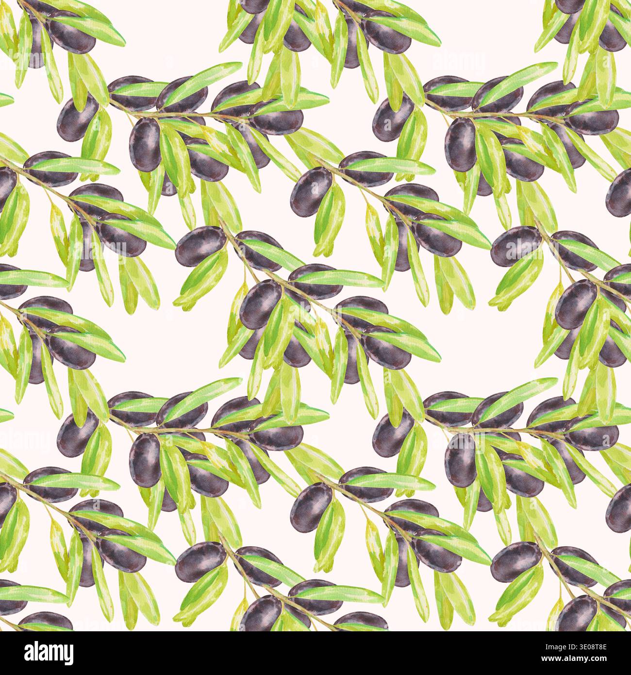Motivo ad acquerello senza cuciture con rami di ulivo caratterizzati da olive nere e foglie verdi su bianco. Perfetto per il confezionamento di alimenti mediterranei, l'olio d'oliva Foto Stock