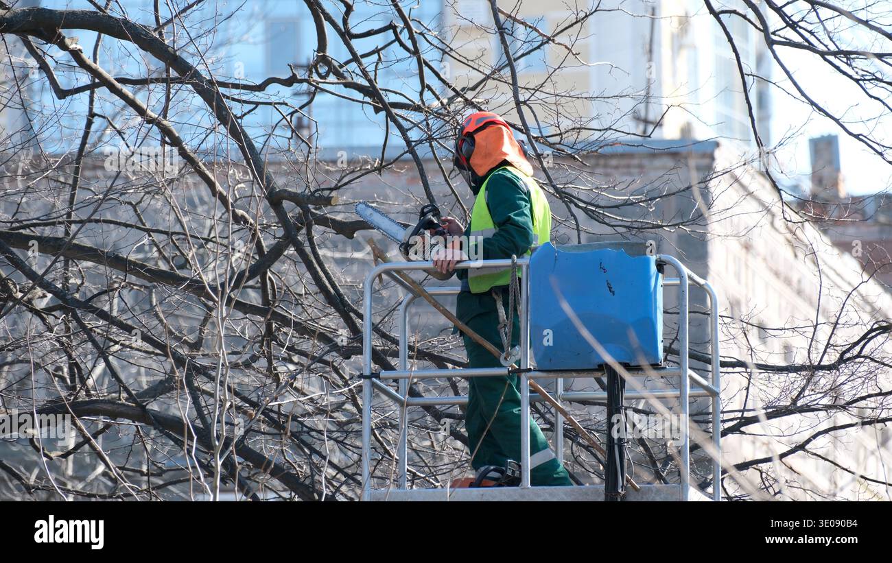 I lavoratori qualificati tagliano le diramazioni da un ascensore, garantendo la sicurezza nello skyline della città. Foto Stock