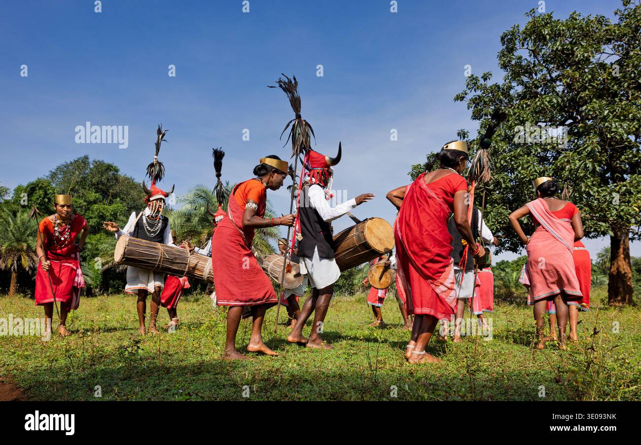 Ballerini di corno bisonte che eseguono danza tradizionale, Chhattisgarh, India Foto Stock