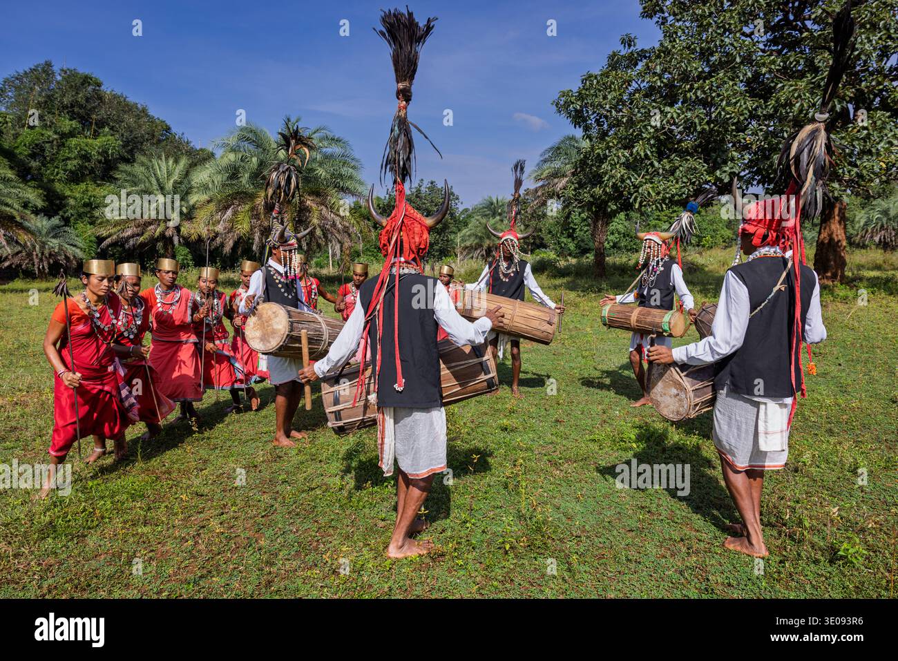 Ballerini di corno bisonte che eseguono danza tradizionale, Chhattisgarh, India Foto Stock
