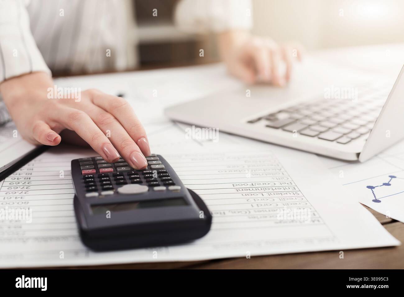 Donna che gestisce le finanze con un notebook Foto Stock