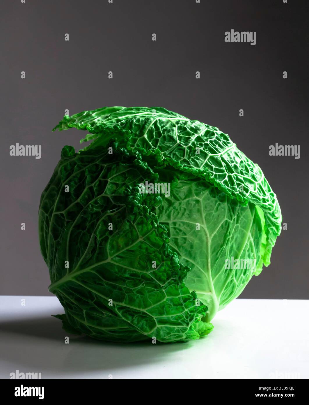 Fresh cavolo verza isolato su sfondo grigio. Foto Stock