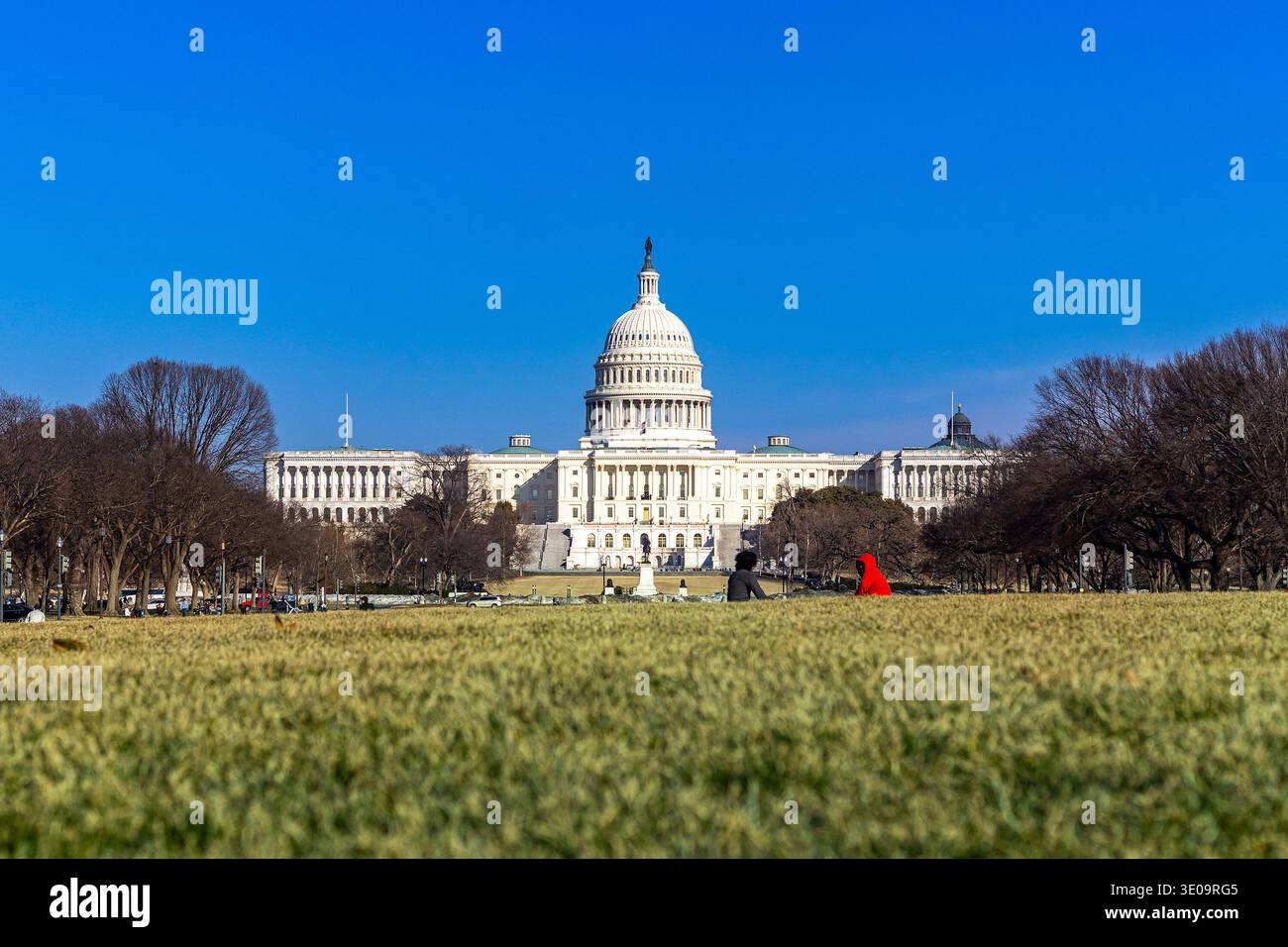 Campidoglio degli Stati Uniti sul National Mall di Washington, DC Foto Stock