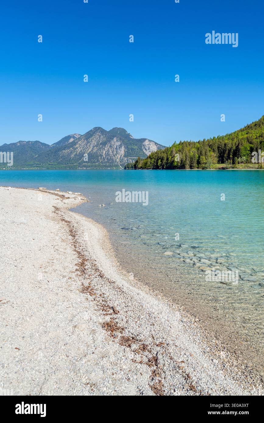 Vista dal Walchensee a Herzogstand (1731 m), alta Baviera, Baviera, Germania Foto Stock