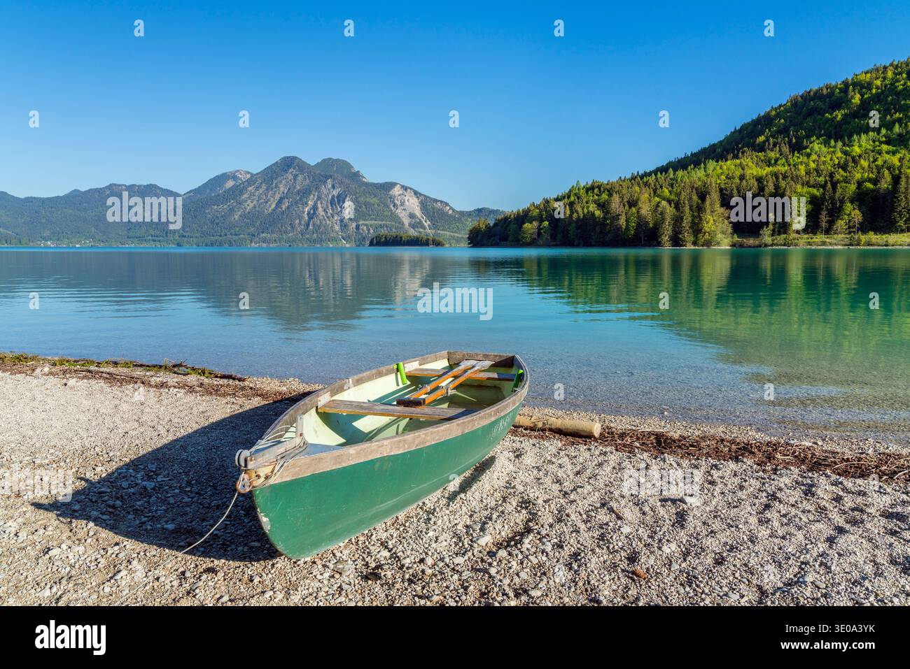 Vista dal Walchensee a Herzogstand (1731 m), alta Baviera, Baviera, Germania Foto Stock