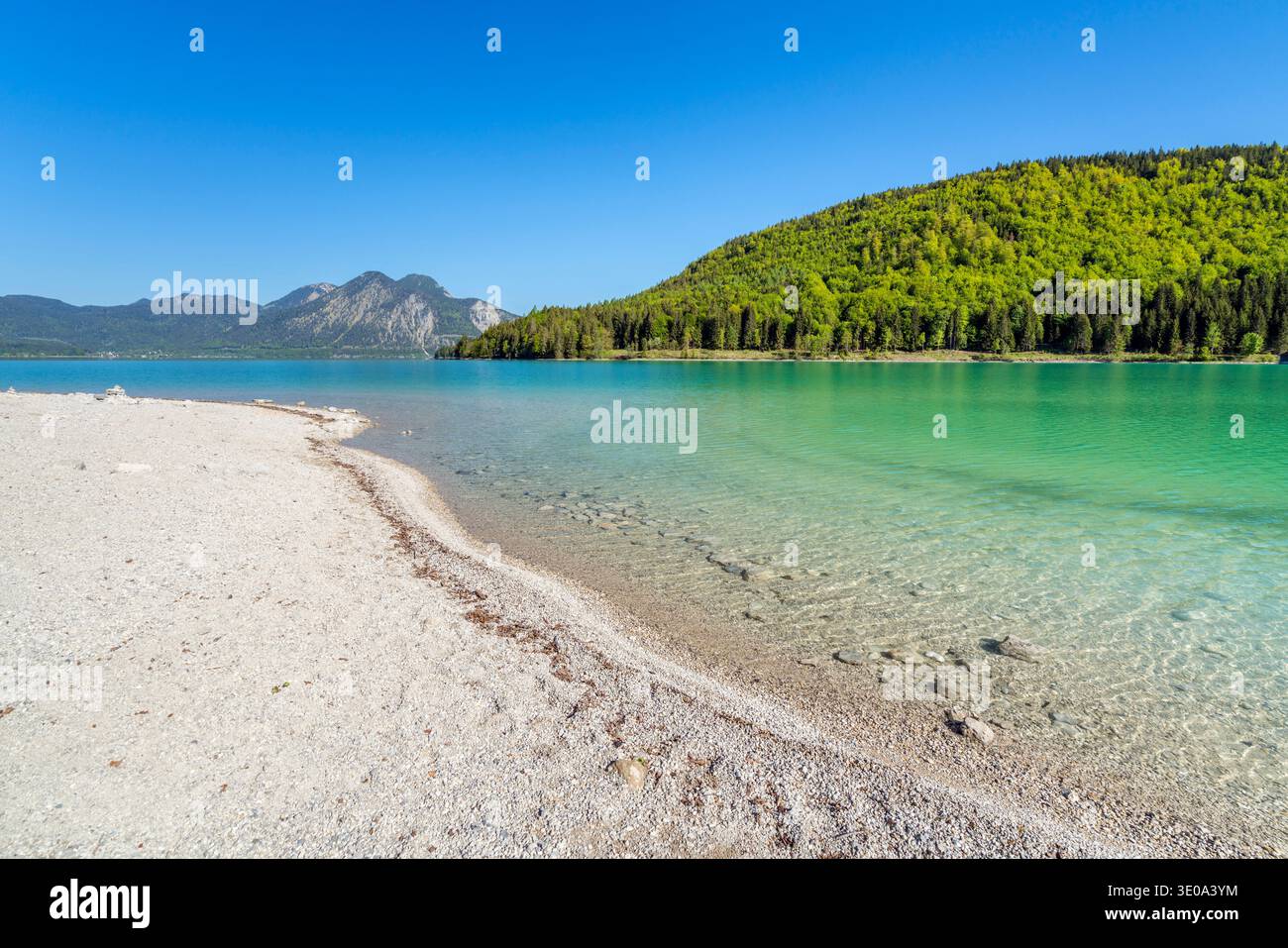 Vista dal Walchensee a Herzogstand (1731 m), alta Baviera, Baviera, Germania Foto Stock