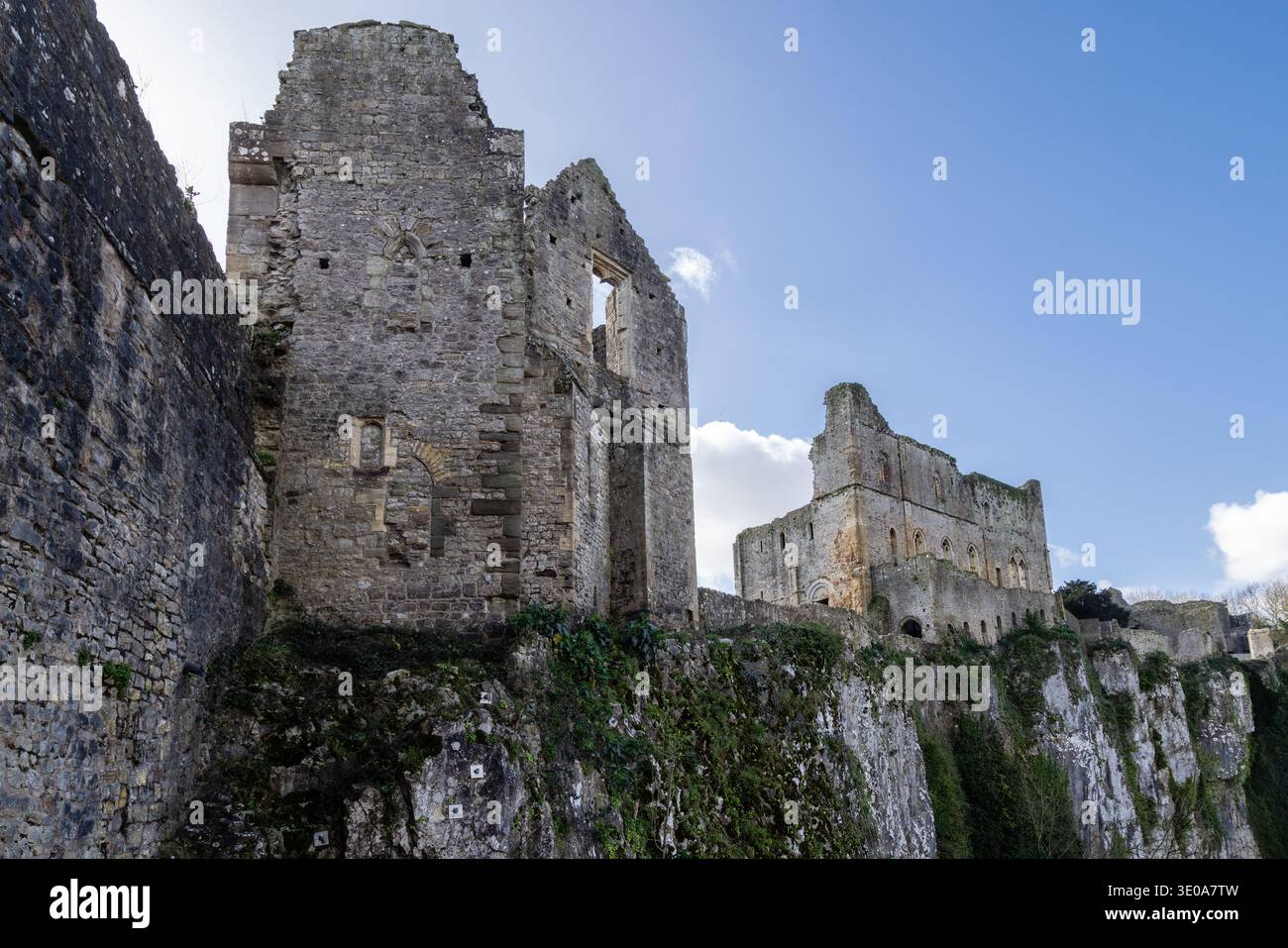 Castello di Chepstow, Chepstow, Galles Foto Stock
