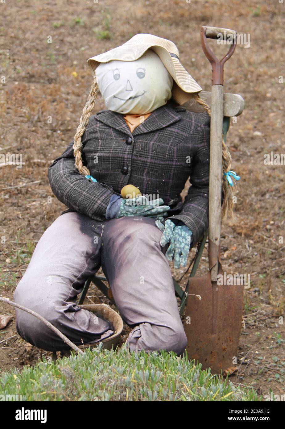 Un personaggio dello Spaventapasseri seduto in un compartimento vegetale. Foto Stock