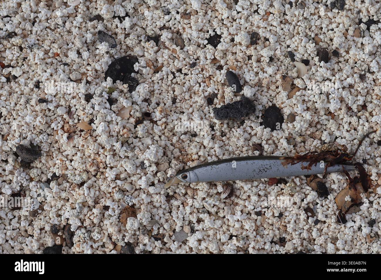 Un piccolo pesce di plastica giace sulla spiaggia di popcorn di Fuerteventura Foto Stock