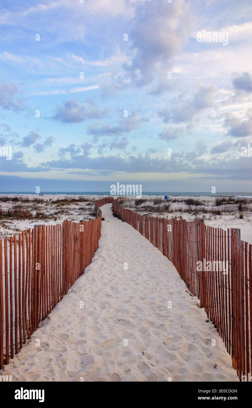 La recinzione in spiaggia impedisce alle persone di camminare su dune ummoscose a Bienville Beach, 4 marzo 2026, a Dauphin Island, Alabama. Foto Stock