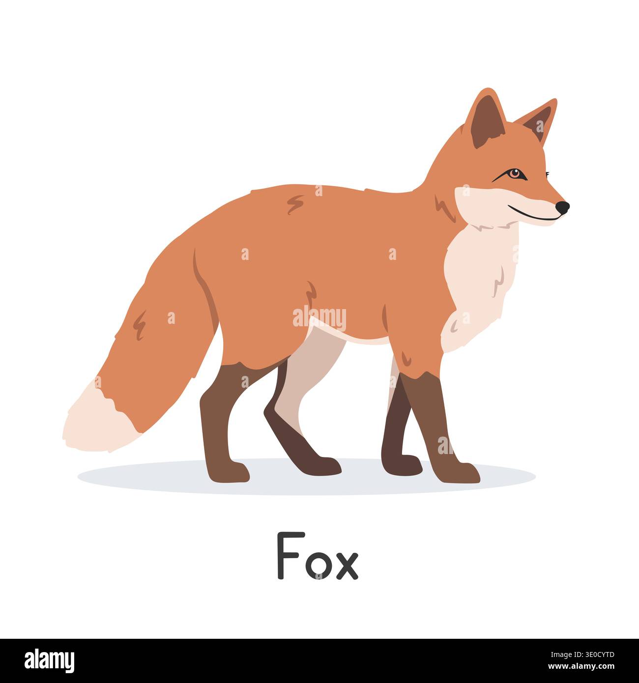 Illustrazione vettoriale della volpe rossa, personaggio della clipart dei cartoni animati, animale in stile piatto. Animali selvatici, creature selvatiche e animali selvatici. Design vettoriale Fox Illustrazione Vettoriale