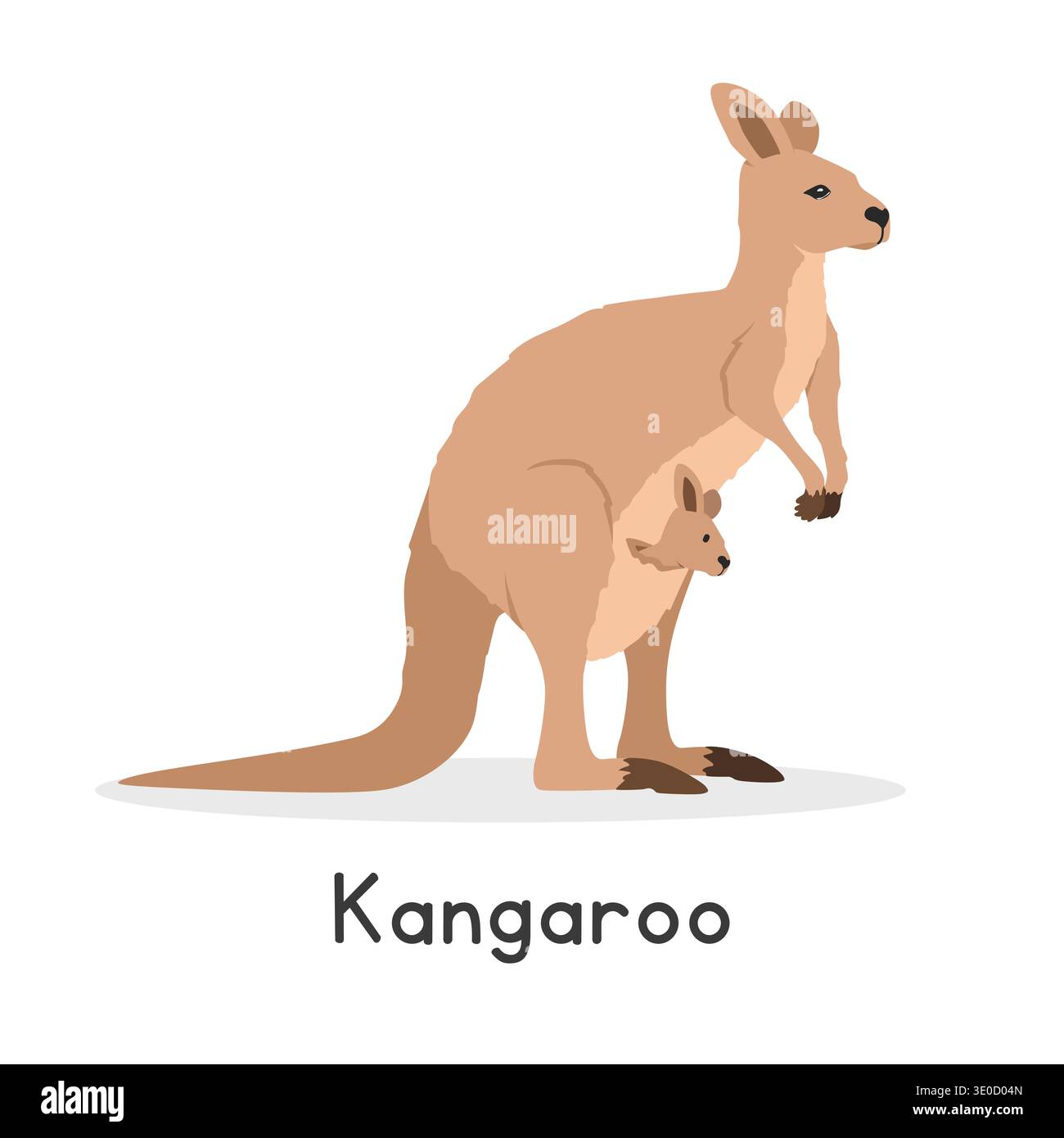 Illustrazione vettoriale canguro, personaggio clipart cartone animato, animale in stile piatto. Animali selvatici, creature selvatiche e animali selvatici. Design vettoriale canguro Illustrazione Vettoriale