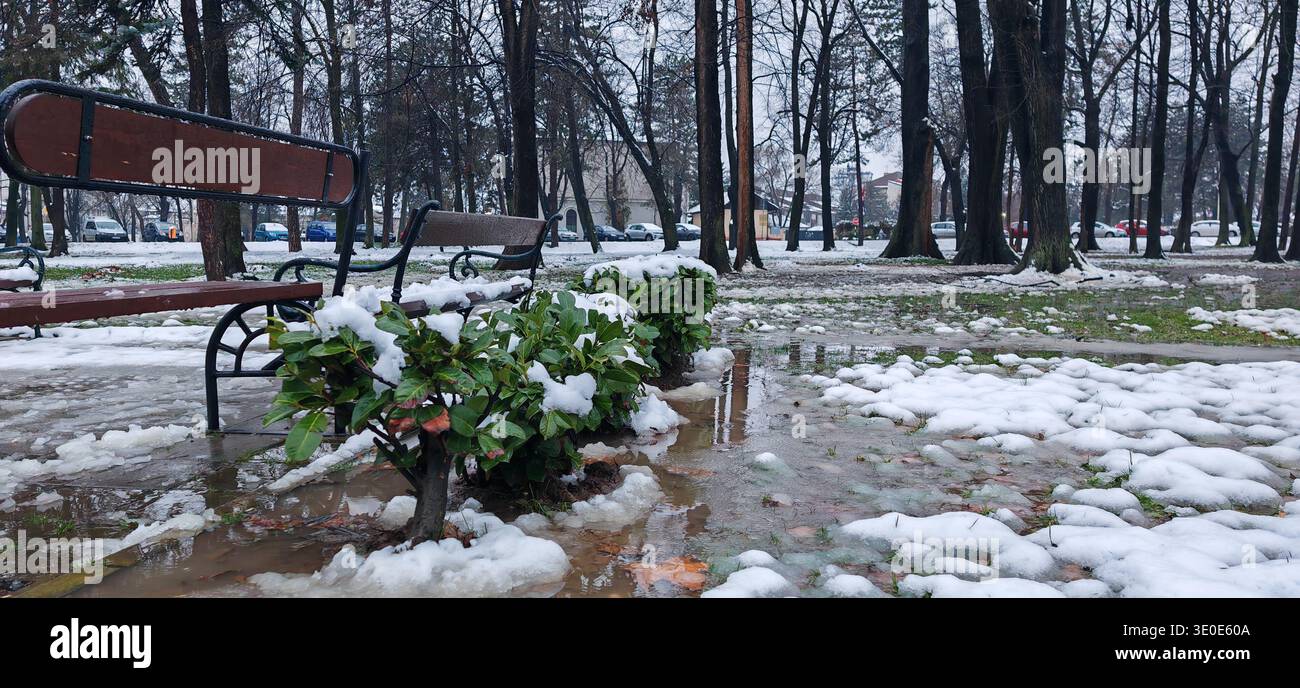 Panchine innevate accanto al parco invernale Shrubs Foto Stock
