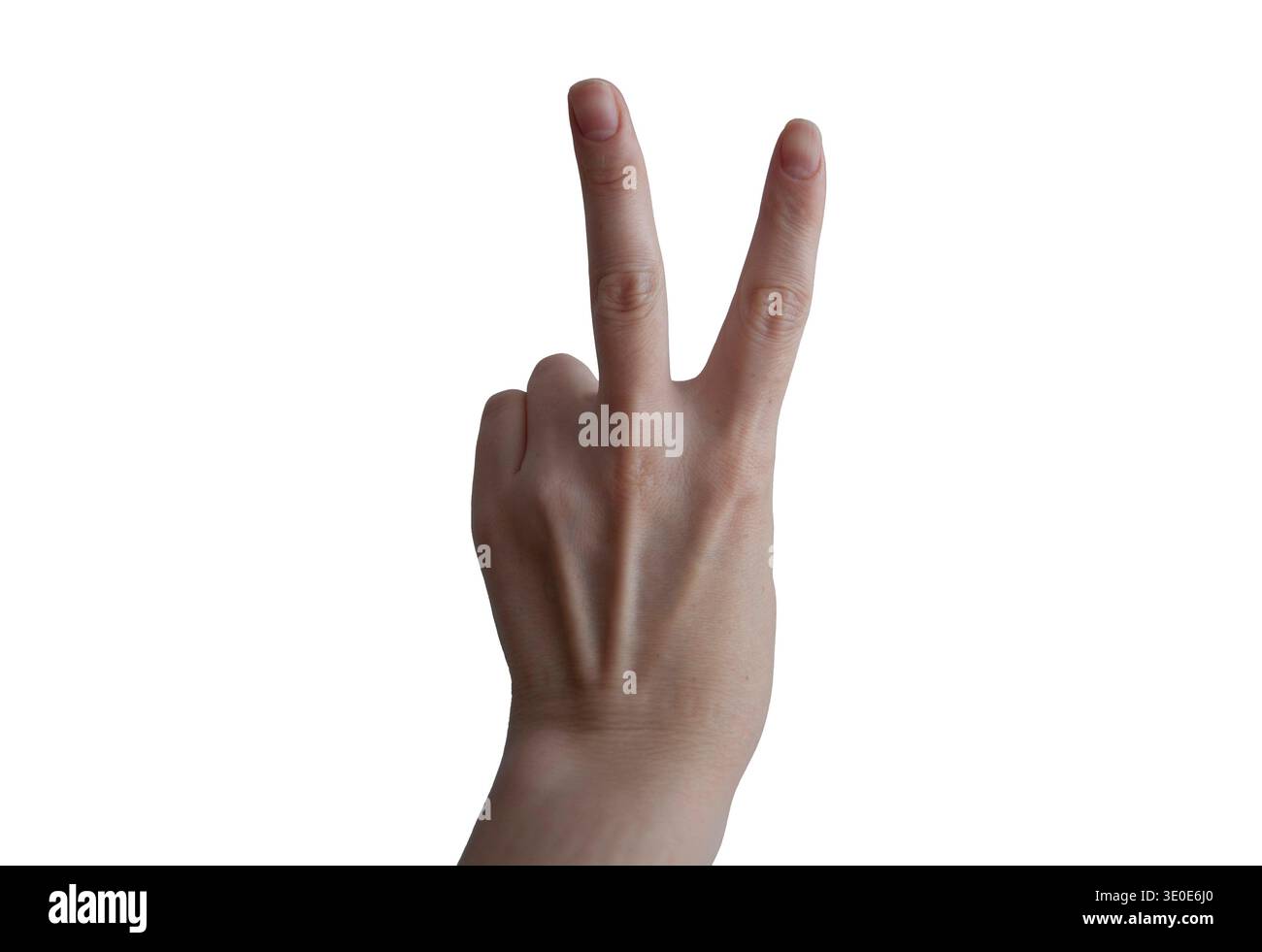 Un segno di pace. Una mano che mostra un segno di vittoria. Una mano femminile isolata su sfondo bianco. Una mano con due dita verso l'alto. Foto Stock