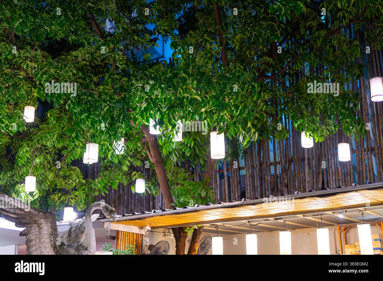Albero con moderne luci a lanterna appese su un piccolo tetto di notte. Le calde lampade luminose creano un'atmosfera accogliente all'aperto con un'illuminazione decorativa perfetta Foto Stock