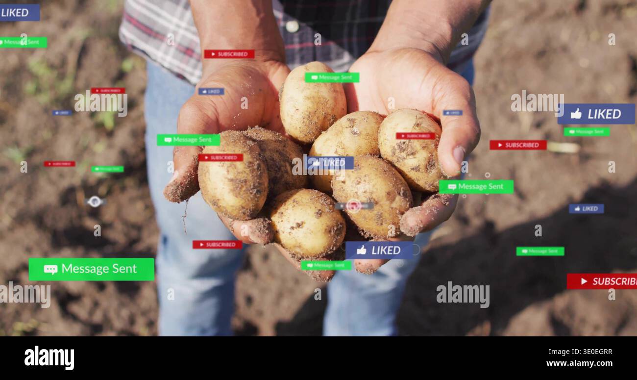 Uomo afroamericano che tiene le patate sul campo con una camicia a quadri e jeans blu con badge sociali Foto Stock