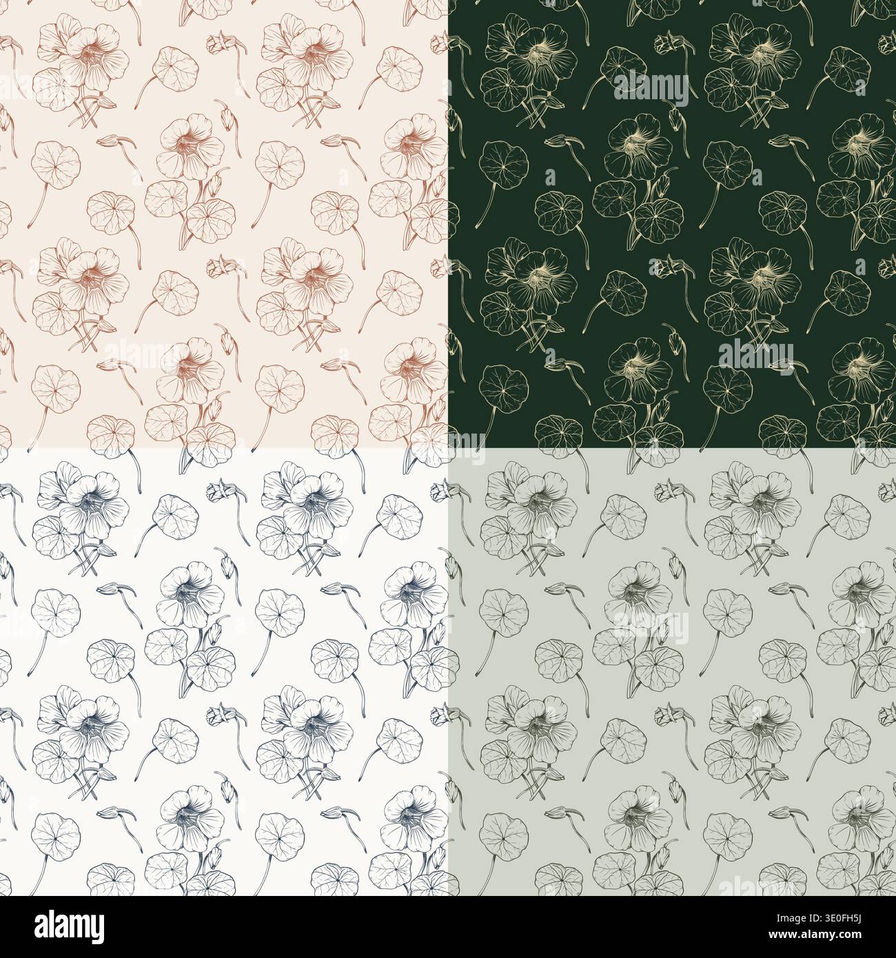 Set di 4 disegni senza cuciture illustrazioni botaniche disegnate a mano di fiori e foglie di nasturzio. Collezione di disegni in varie tavolozze di colori Illustrazione Vettoriale