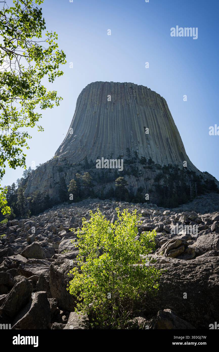 Devils Tower National Monument sotto un cielo azzurro, Wyoming, Stati Uniti Foto Stock