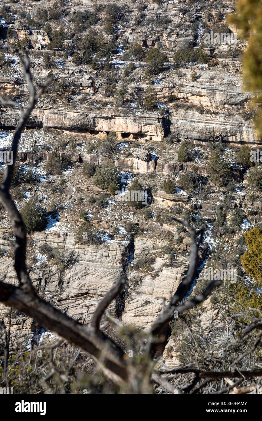 Flagstaff, Arizona - Walnut Canyon National Monument, dove i Sinagua (senza acqua) vivevano in abitazioni rupestri più di 800 anni fa. Foto Stock