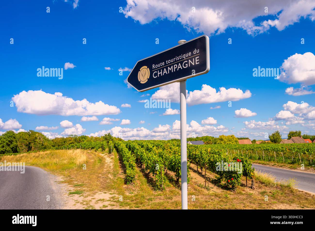 Cartello della strada turistica Champagne vicino a Reims Francia Foto Stock