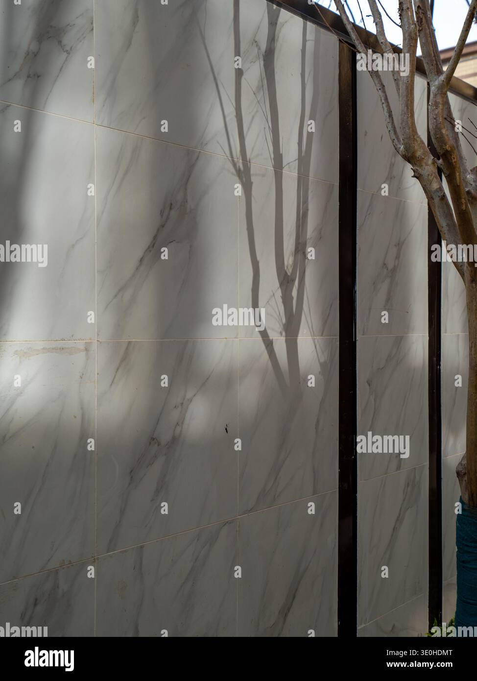 Descrizione: Superficie minimalista in marmo bianco adornata da ombre d'albero morbide e naturali. L'immagine trasmette texture, minimalismo e architettura Foto Stock