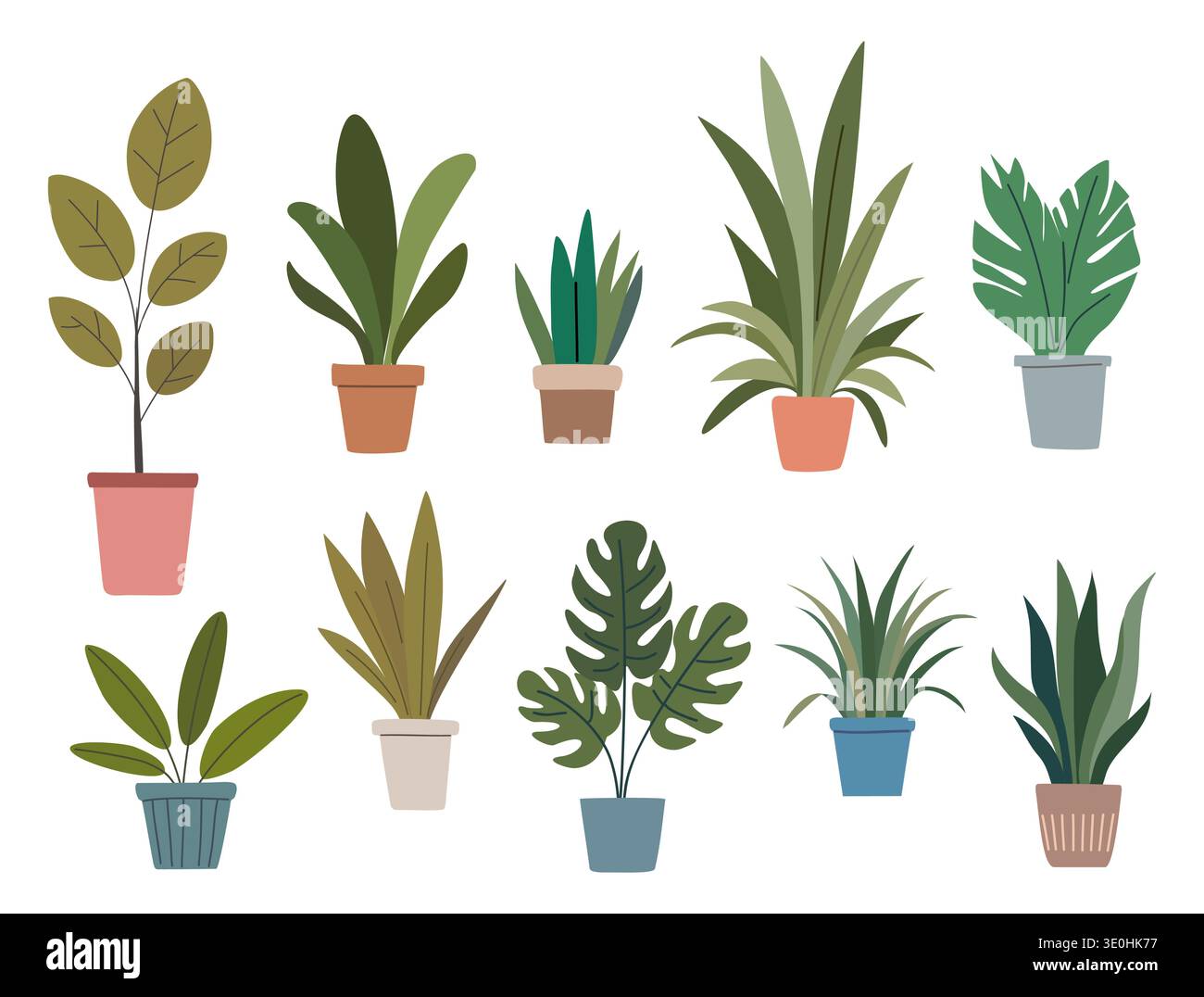 Le piante nei vasi variano per forma e colore. Illustrazione Vettoriale