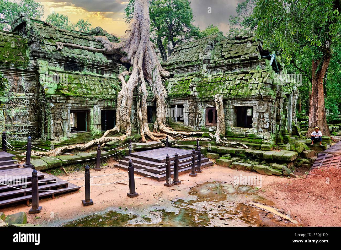 Un uomo siede vicino alle rovine muschiate del tempio Ta Prohm ad Angkor, in Cambogia, dove le radici coprono le strutture in pietra e la natura prospera. Foto Stock